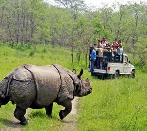 Chitwan National Park - Nepal jungle safari